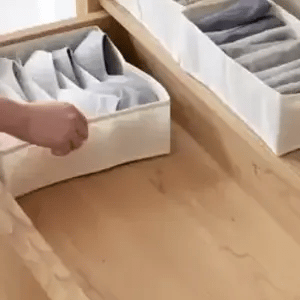 ORGANIZADOR DE ROPA INTERIOR SET X 4 - ENVÍO GRATIS 💕👉🏻